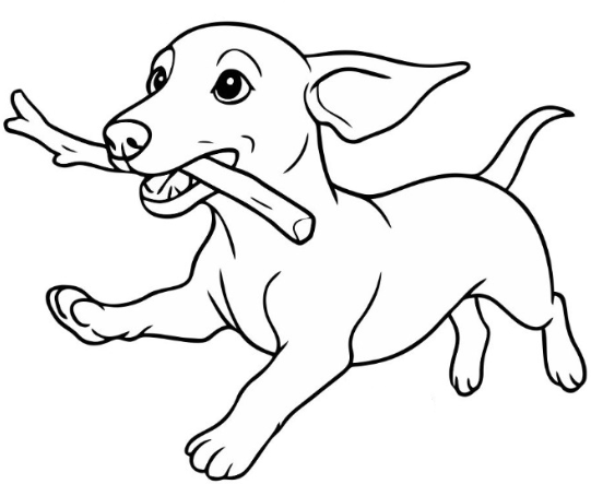 The Nugget Guest Lodge logo, a hand-drawn dog carrying a stick